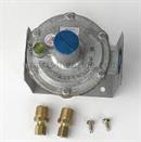 Raypak 004060F Nat Gas Pressure Regulator