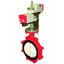Honeywell, Inc. VFF2LW1Y2B/M 2-way, 6 inch resilient-seat flanged butterfly valve with NSR modulating control