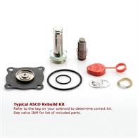 ASCO Power Technologies 302273 Asco rebuild kit for 8210AC series valves Image